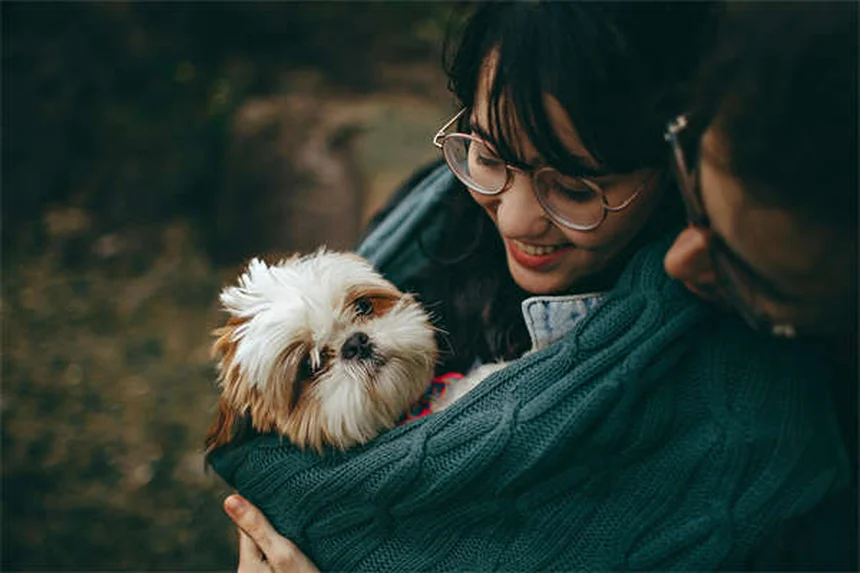 Chronic Diarrhea in Dogs: 7 Proven Ways to Stop the Mess
